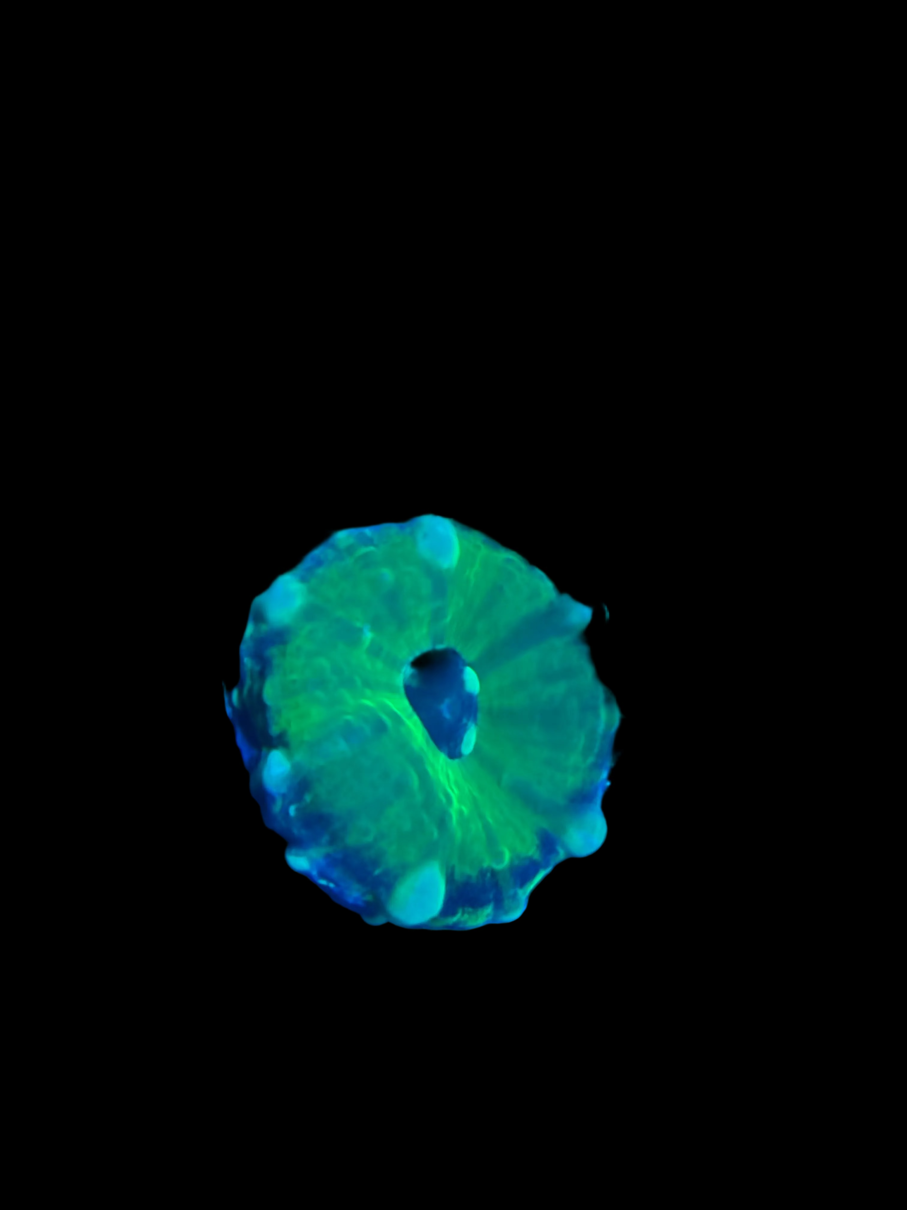 WYSIWYG TANK SPAWNED SCOLY