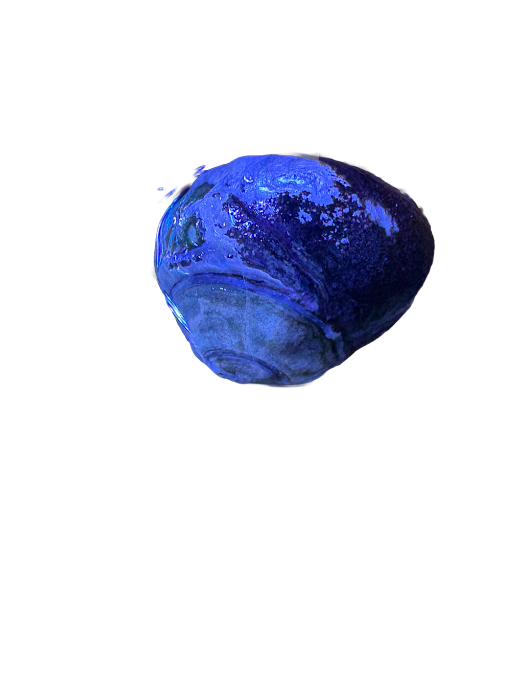 Margarita Snail