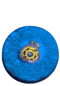 WYSIWYG Stratospheres