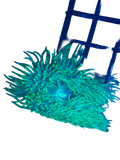 WYSIWYG Neon Anemone RARE